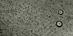 concentration of soluble oil in water impact