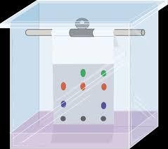 paper chromatography in hindi