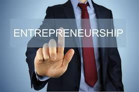 enterpreneurship in hindi