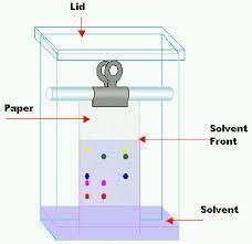 paper chromatography in hindi