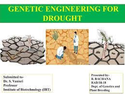 from genes to genomes